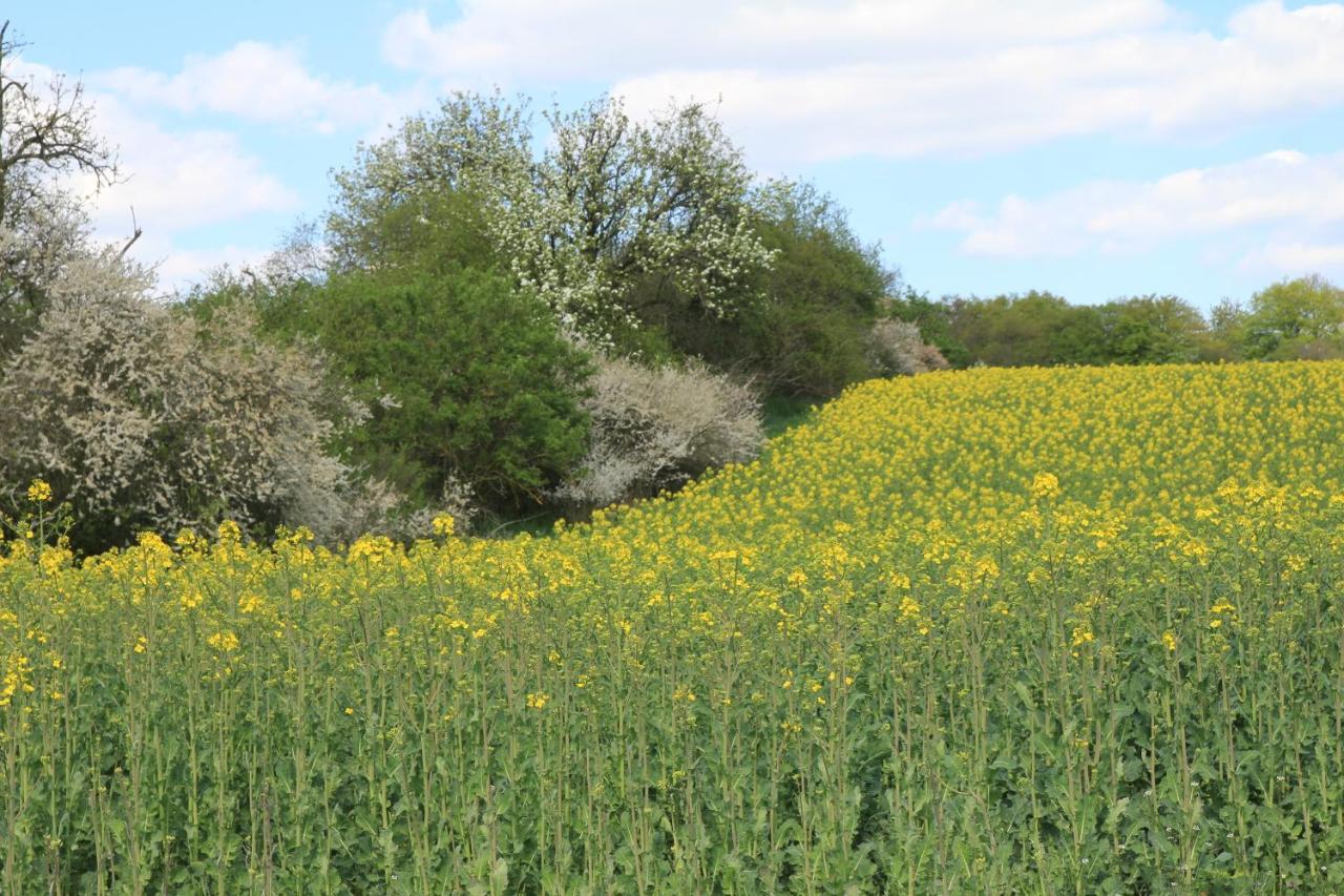 Am Weltnaturerbe Grumsin Ziehten