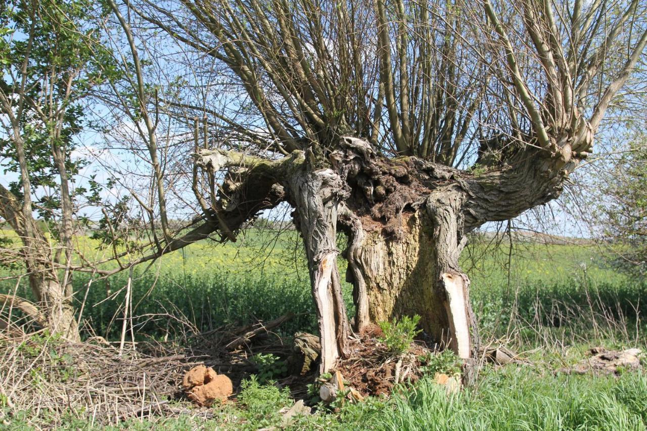 Apartment Am Weltnaturerbe Grumsin